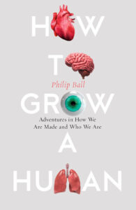 How to Grow a Human - Adventures in how we are made and who we are by Philip Ball